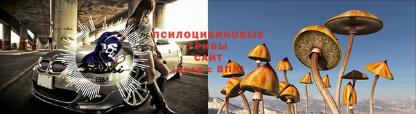 соль курить ск Кулебаки