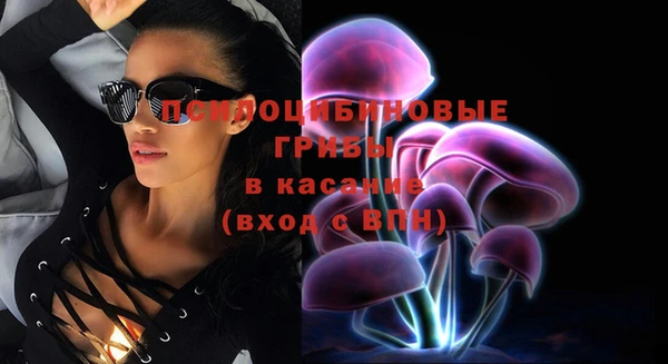 стафф Краснотурьинск