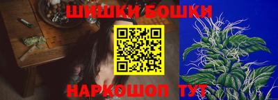 индика Гагарин