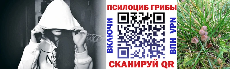 Псилоцибиновые грибы MAGIC MUSHROOMS Михайловка