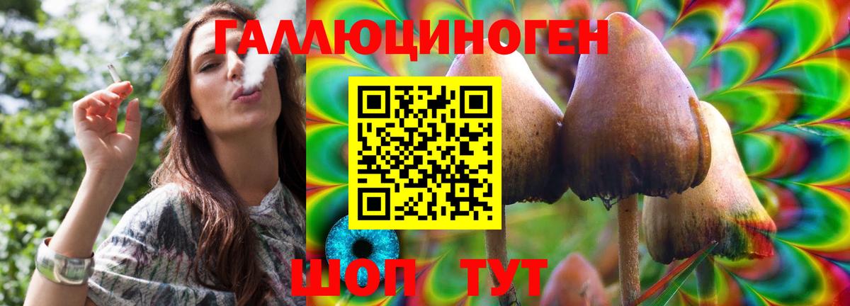 Псилоцибиновые грибы Psilocybine cubensis  магазин продажи   Михайловка 