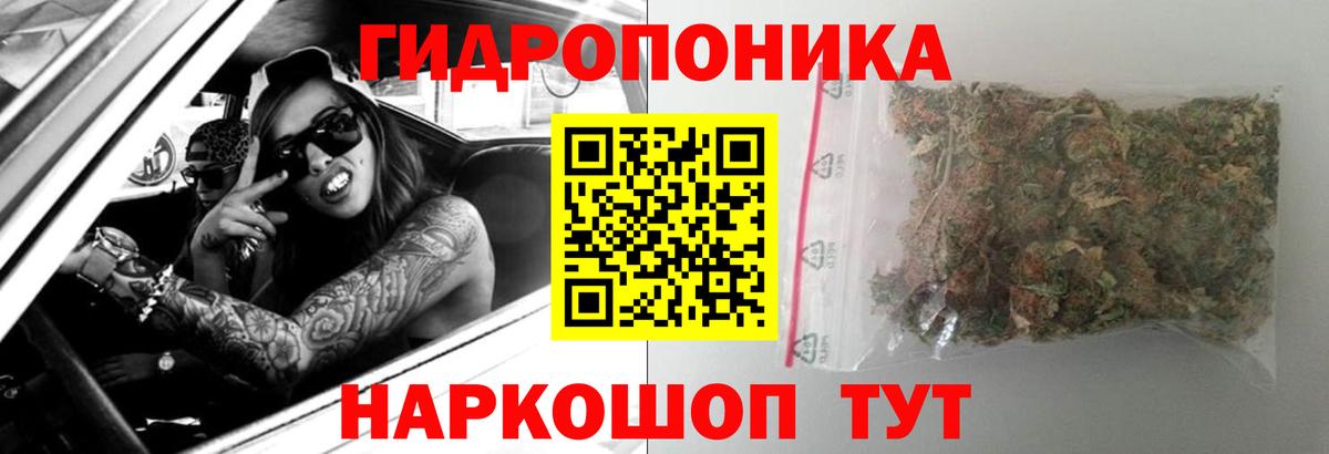 Шишки марихуана Ganja  Михайловка  Марихуана конопля  Бошки марихуана тримм 